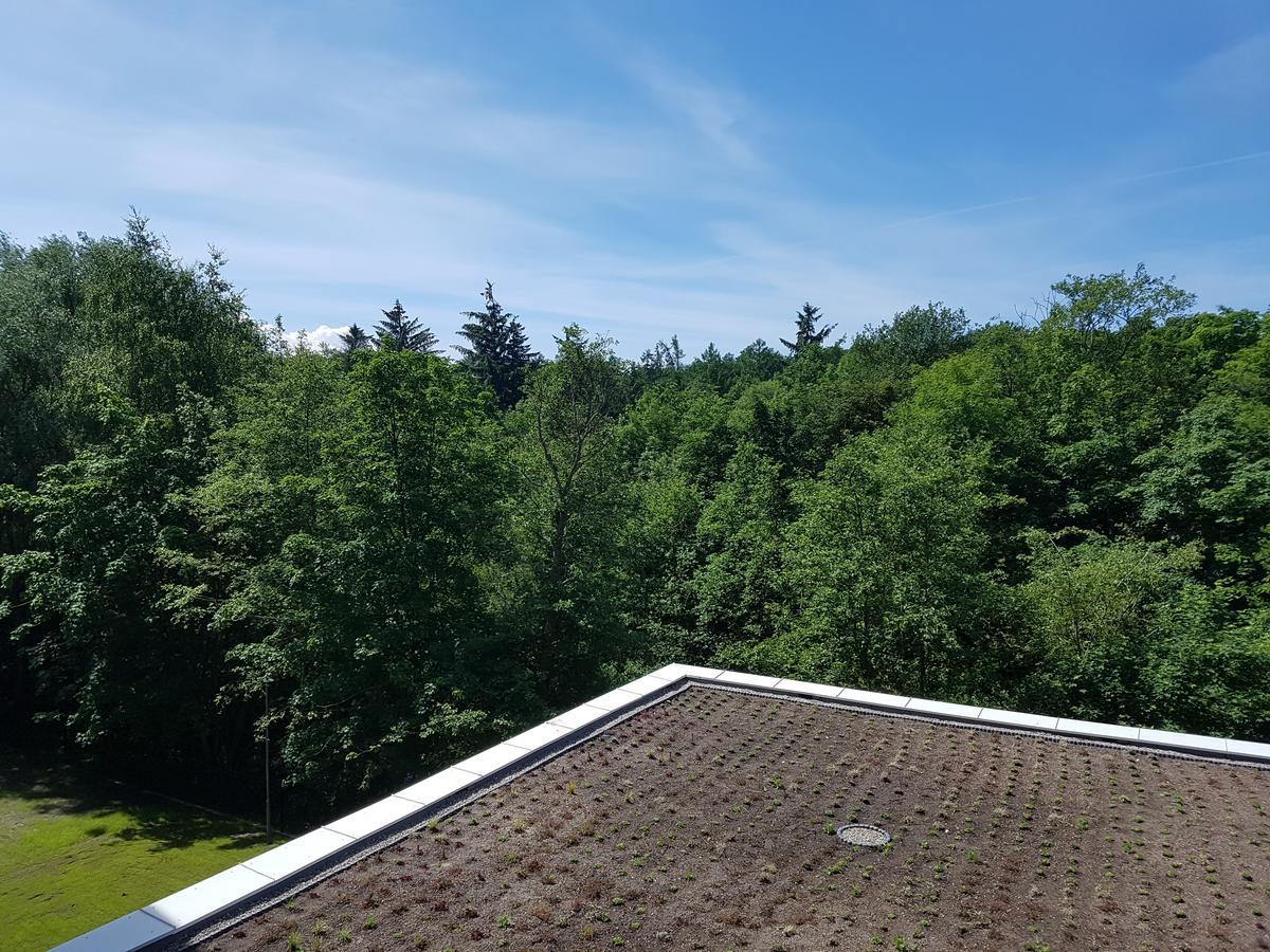 Apartment Prywatny 329 W Diune