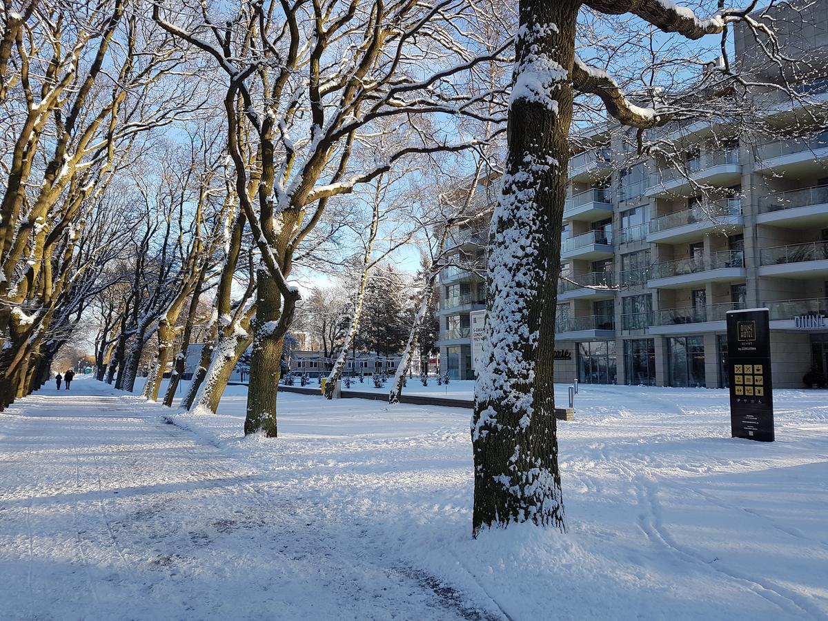 Prywatny 329 W Diune