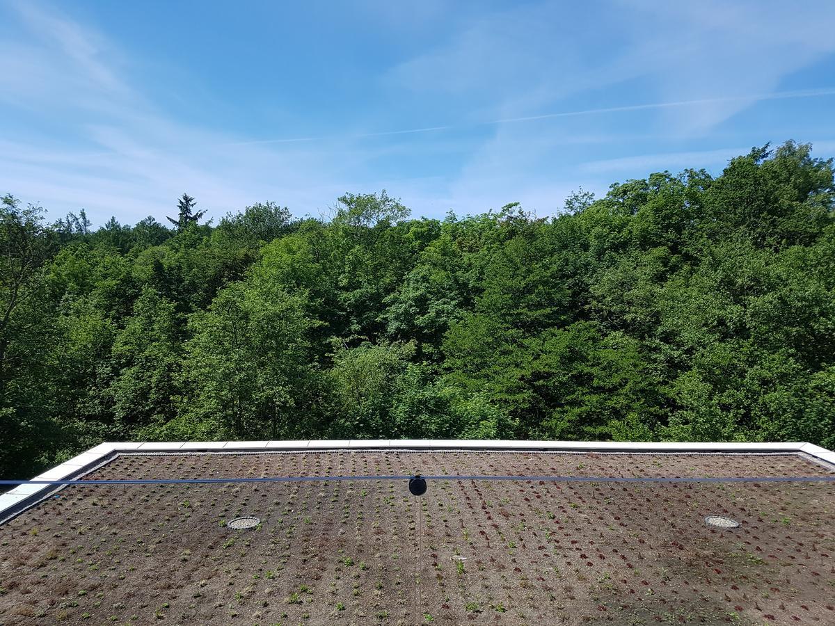 Prywatny 329 W Diune * Kolobrzeg